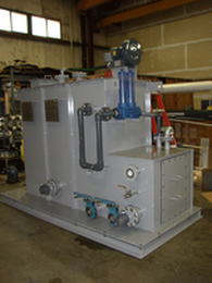 Black and gray water treatment system